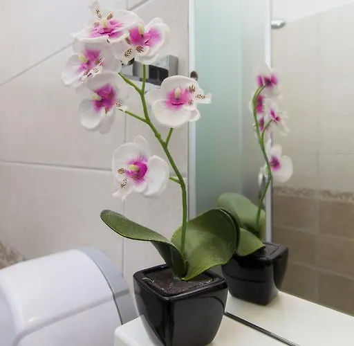 Miki & Roza * Jadrija