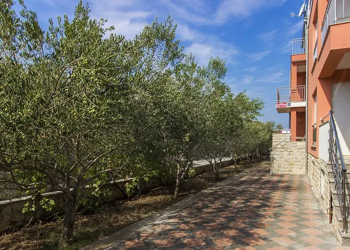 Miki & Roza יאדריה