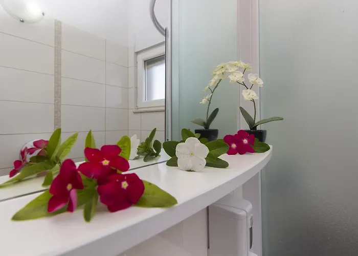 Miki & Roza * יאדריה