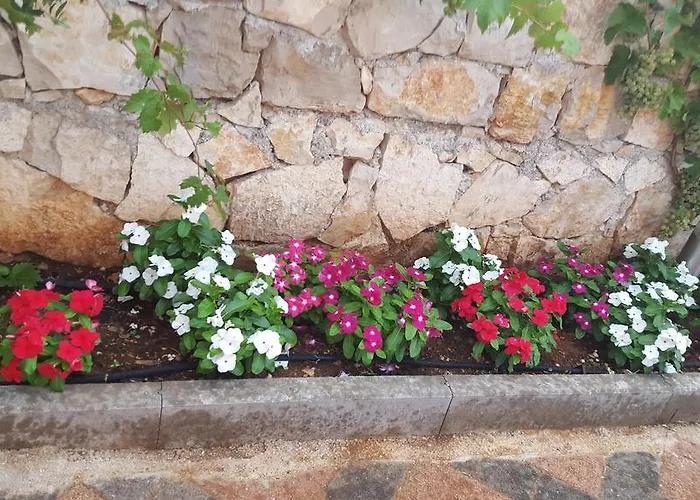 Miki & Roza יאדריה